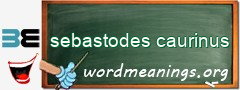 WordMeaning blackboard for sebastodes caurinus